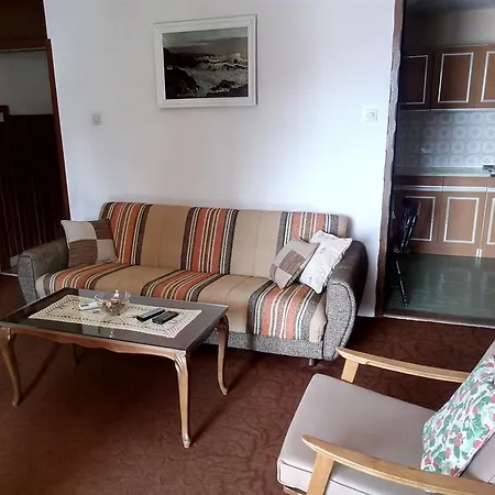 Zdravka * بلاتشي