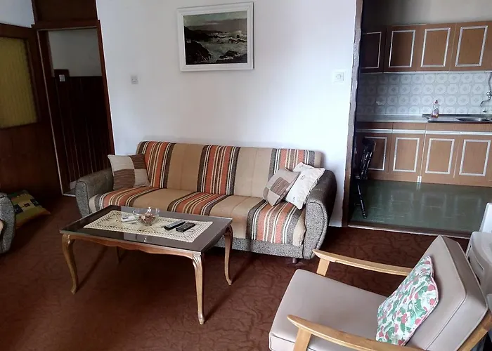 Zdravka * بلاتشي